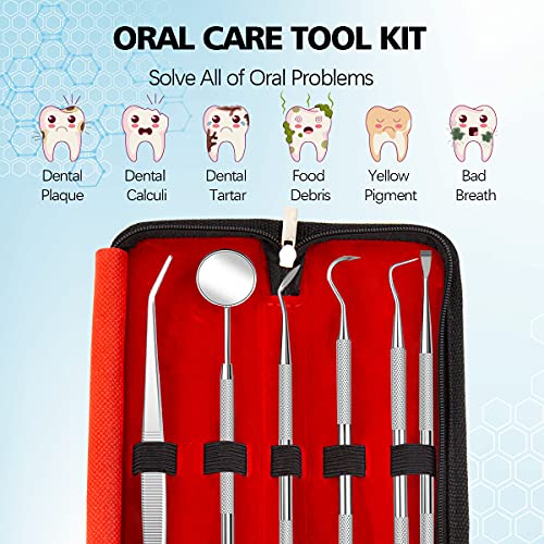 Stomatološki Instrumenti, 6 Paketića za Uklanjanje plaka za Čišćenje Zuba Set Za Njegu Oralne Higijene, Dentalni