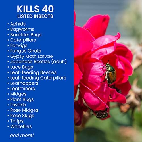 BioAdvanced 502570B Insekticid za uništavanje insekata sa ružama i cvijećem dvostrukog djelovanja, 24 oz, Spremna