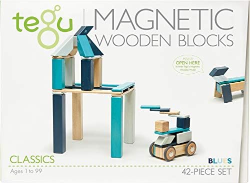 Skup Magnetskih Drvenih Blokova Tegu Od 42 Komada, Plava