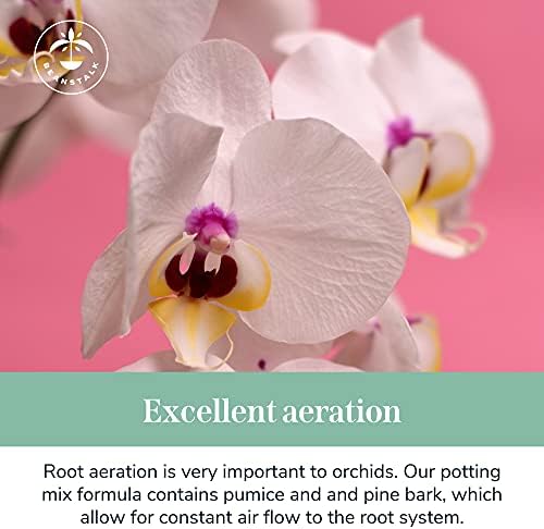 Mješavina za posude od kore orhideje (4 qt.) - Smjesa za posude od tla orhideje s бобовым stabljikom, Spoj posude