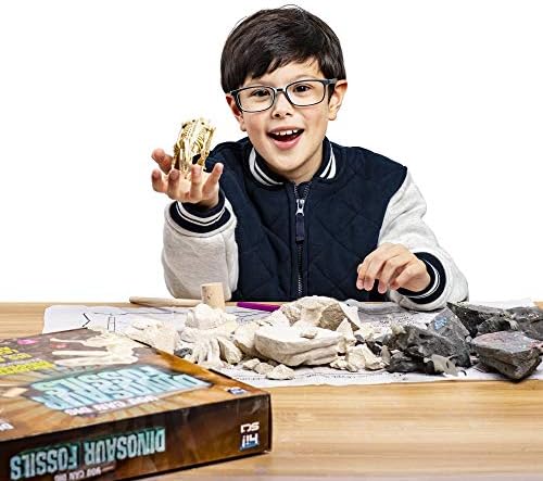 Bok!Znanstveni Skup za iskopavanje fosila dinosaura za djecu, Set za iskopavanje dragulja Dinosaura, Odličan