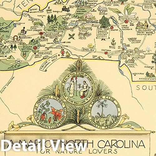 Povijesna panorama karta Sjeverne Karoline za ljubitelje prirode The Garden Club North Carolina, 1937 godine - Винтажное wall art - 24 cm x 14 cm
