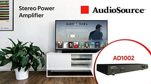 Digitalno Pojačalo AudioSource, 2-kanalni Stereo Pojačalo snage D AD1002 za Kućne Audio Sustave