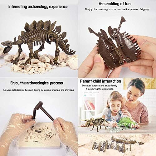 Liberty Uvozi Kostur Dinosaura u 3D Dinosaur Fosilnih Kosti Znanstveni Skup za iskopavanje