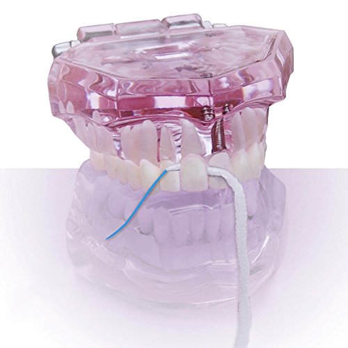 Zubni konac ProxySoft 3 u 1 za optimalnu njegu zubi-6 komada Pre narezane Niti za Ortho-niti za bravice, Uskim