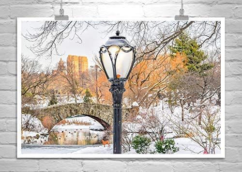 Umjetnička fotografija graviranje mosta Гапстоу u Zimskom Central parku