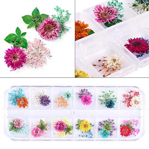 2 Kutije od Suhog Cvijeća za nokte, KISSBUTY 24 Boje Suhog Cvijeća Mini-Ove Prirodne boje Za nokte 3D Aplikacija