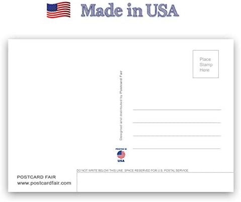 Set razglednica sa ZASTAVOM SJEDINJENIH američkih DRŽAVA od 20 identičnih razglednica. Set razglednica s američkim/američkom