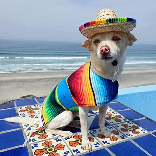 Skup plišanih igračaka za pse Srebro i Tekila - Smiješno Odijelo i Psi Igračka za žvakanje i piska - Odjeća Chihuahua - Meksički Ukras za stranke