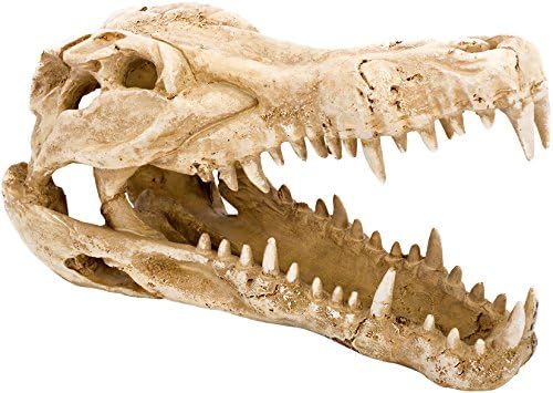 Ručka Plax RR1065 Lubanja Krokodila Ukras od smole Životinja za Akvarije od 9 L x 4 W x 5,5 H