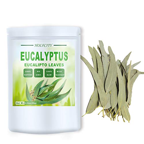 Cjelovite Lišće Eukaliptusa, Prirodne Lišće Эвкалиптовой Bilje, 114 g (4,0 oz)