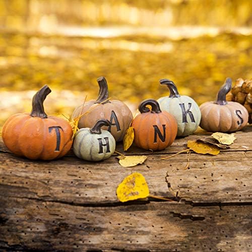 JOYIN Zahvaljuje Ukras Bundeve | Dan Zahvalnosti 6 kom. Ručno Oslikane Tikve Jesen Ukras Kuće za Dan Zahvalnosti