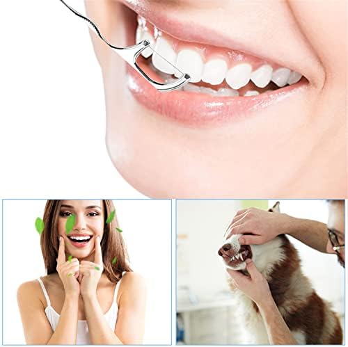 Set Alata za čišćenje zuba 4kom - Alat za čišćenje Zuba,Uklanjanje zubnog kamenca za Stomatologa,Osobnu Uporabu,