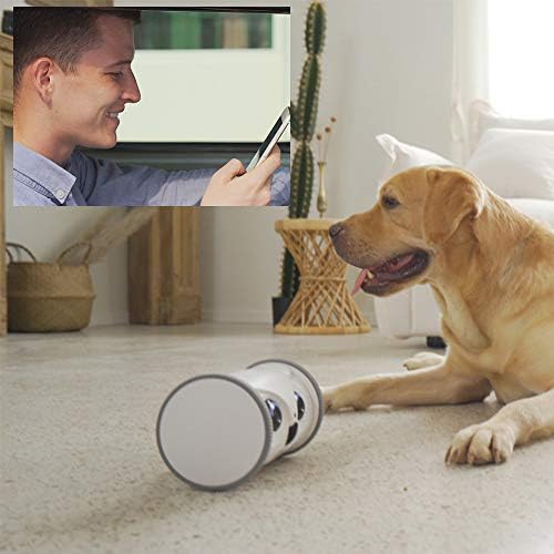 Robot-sova SKYMEE: Mobilna Kamera za kućne ljubimce Full HD s Dozatorom goodies, Interaktivna igračka za pse