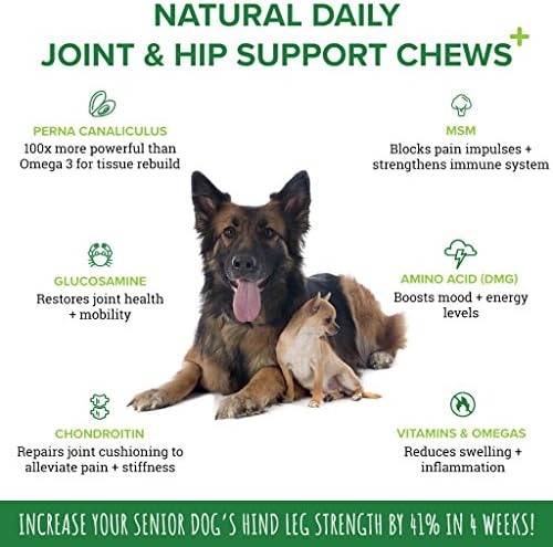 Dodatak za podršku zglobova PupGrade za pse - Prirodni glukozamin Hondroitin i MSM Mekana žvakaća sredstva za